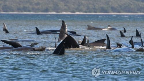 연합뉴스