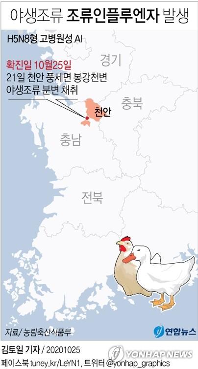 연합뉴스