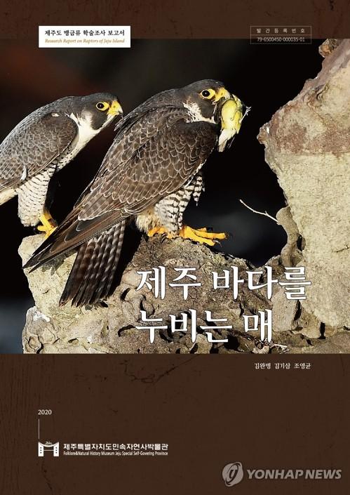 연합뉴스