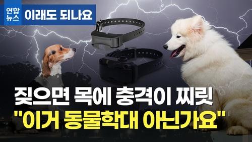 연합뉴스