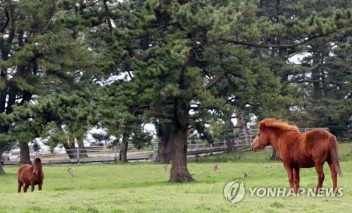 연합뉴스