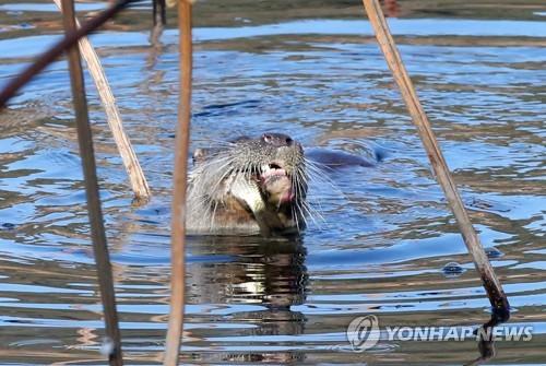 연합뉴스