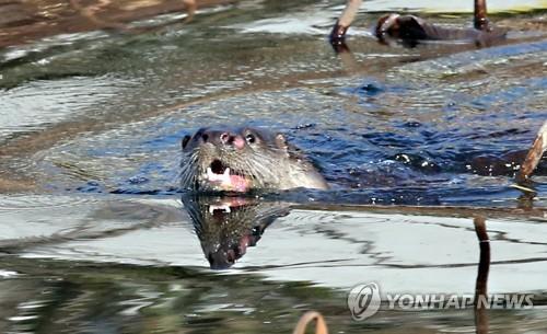 연합뉴스