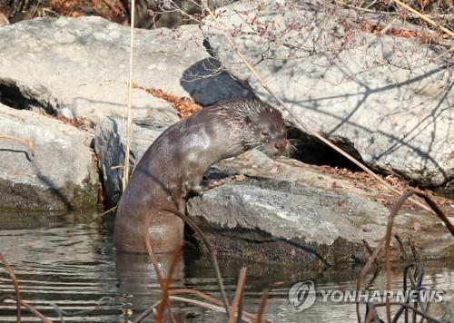 연합뉴스