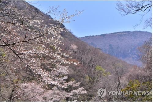 연합뉴스