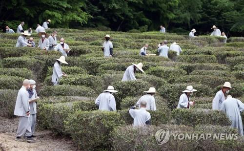 연합뉴스