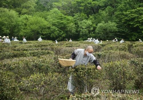 연합뉴스