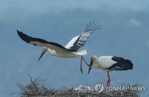 연합뉴스