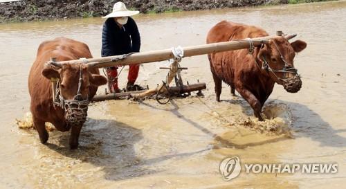 연합뉴스