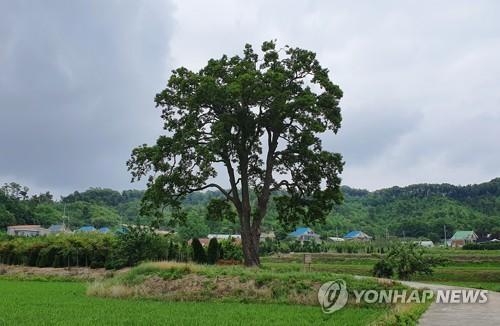 연합뉴스