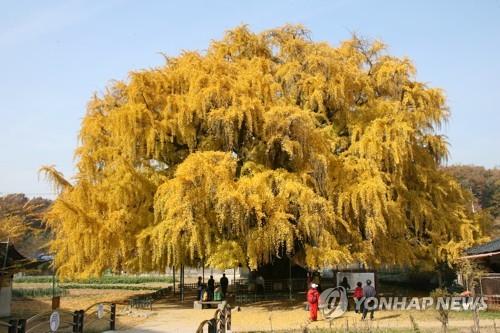 연합뉴스