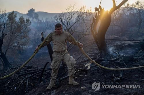 연합뉴스