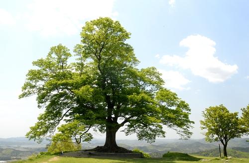 연합뉴스