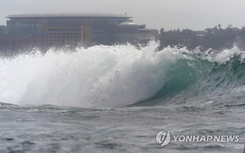 연합뉴스