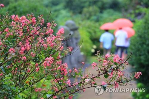 연합뉴스