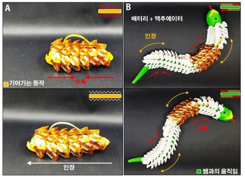 연합뉴스