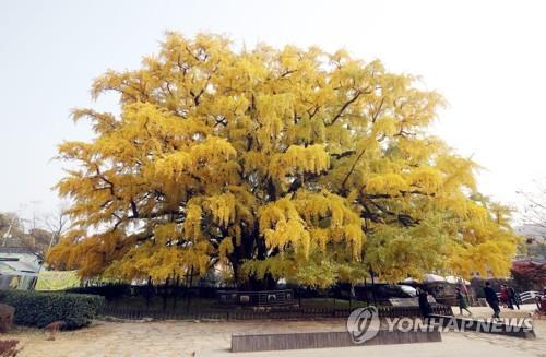 연합뉴스