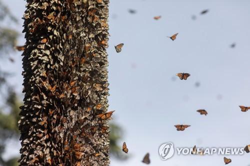 연합뉴스