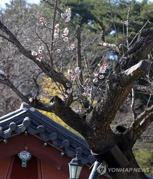 연합뉴스