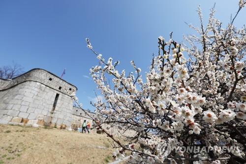 연합뉴스