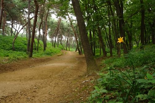 연합뉴스