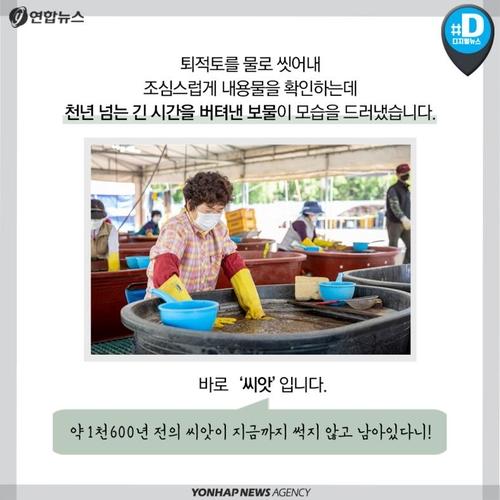 연합뉴스