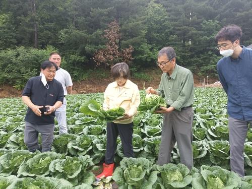 연합뉴스