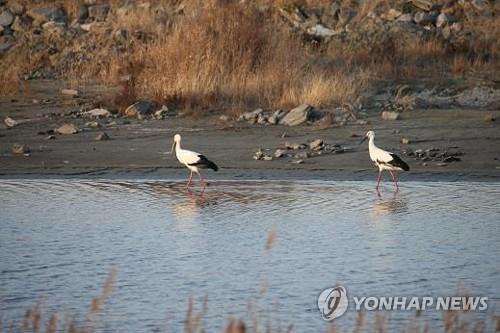 연합뉴스