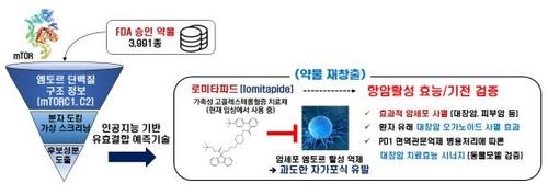 연합뉴스