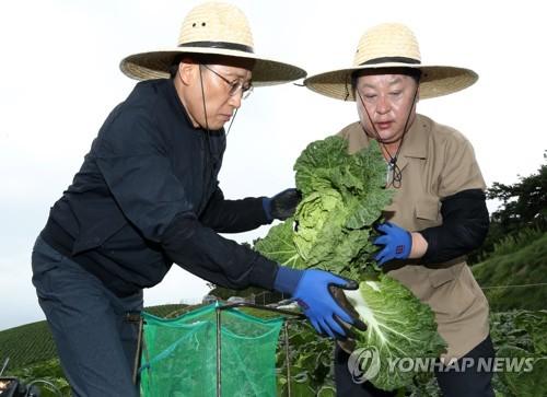 연합뉴스