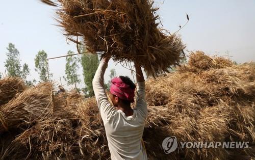 연합뉴스