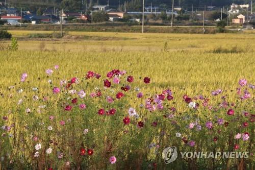 연합뉴스