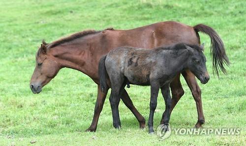 연합뉴스