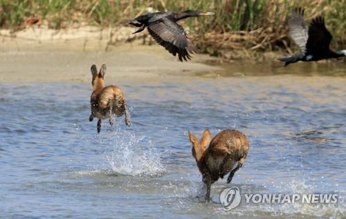 연합뉴스