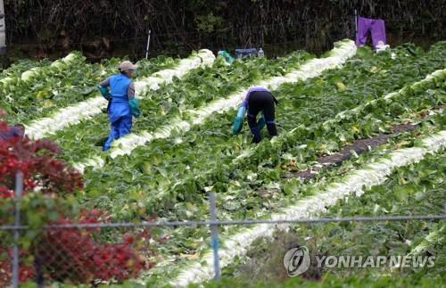 연합뉴스