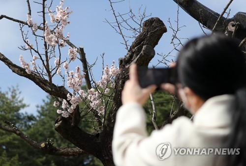 연합뉴스