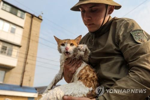 연합뉴스