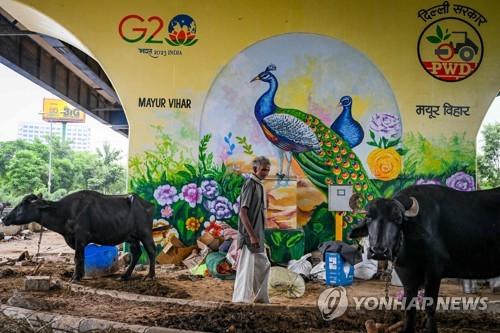 연합뉴스