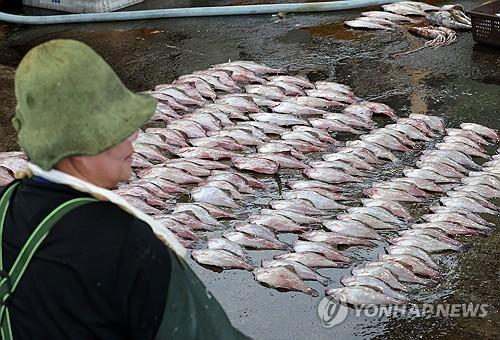 연합뉴스