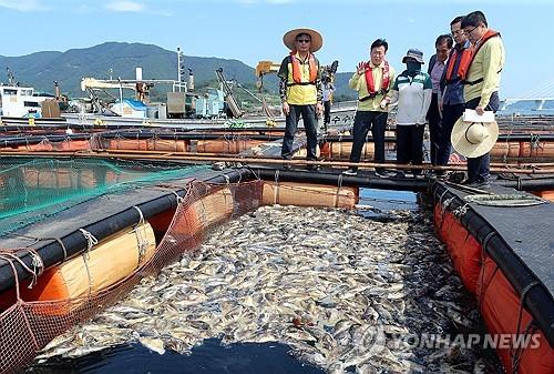 연합뉴스