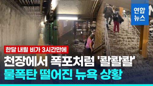 연합뉴스