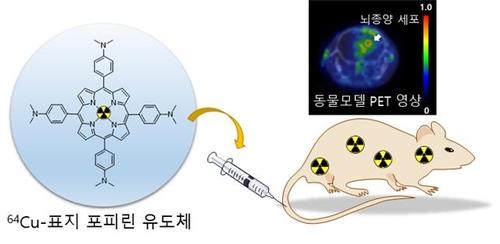 연합뉴스