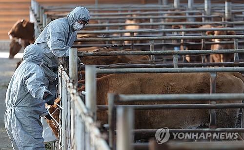 연합뉴스