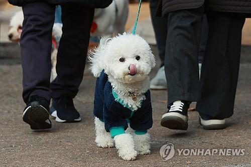 연합뉴스