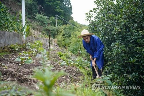 연합뉴스