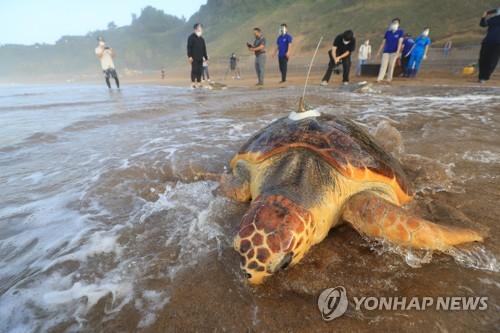 연합뉴스