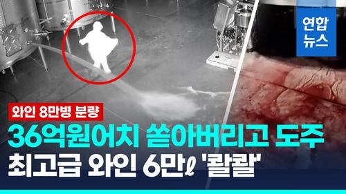 연합뉴스