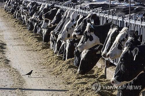 연합뉴스