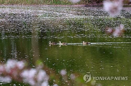 연합뉴스