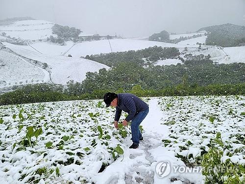 연합뉴스